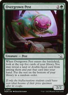 Overgrown Pest - Foil