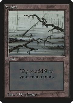 Swamp (Two Branches)
