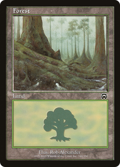 Forest (348) - Foil