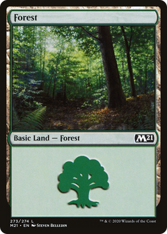 Forest (273)