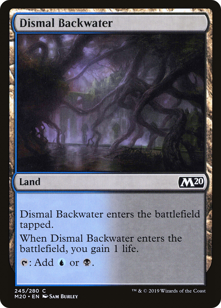 Dismal Backwater - Foil