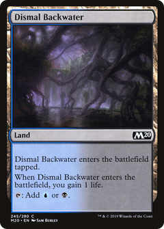 Dismal Backwater - Foil