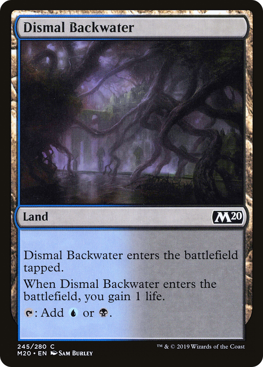 Dismal Backwater - Foil