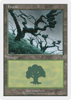 Forest (331)