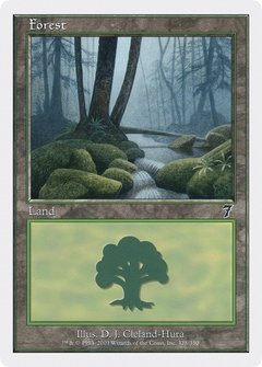 Forest (328)