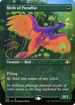 Birds of Paradise (439) (Borderless)