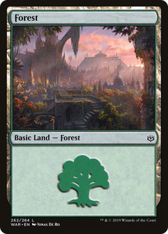 Forest (262)