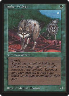 Timber Wolves