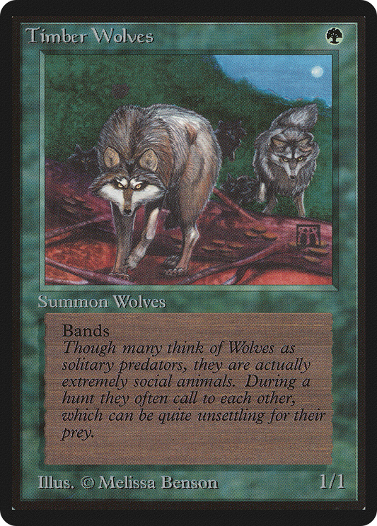 Timber Wolves