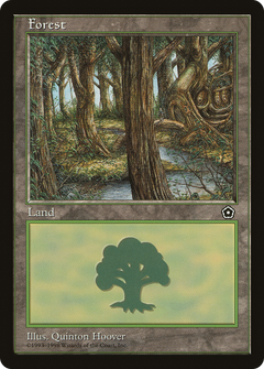 Forest (Stream)