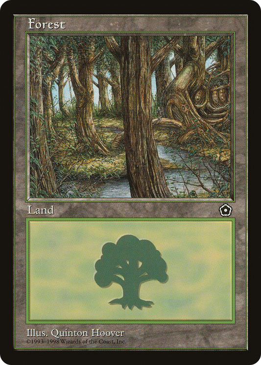 Forest (Stream)