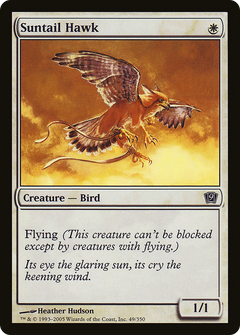 Suntail Hawk - Foil