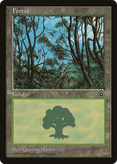 Forest (Blue Sky)