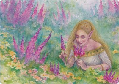 Abundant Harvest (37/81) Art Card
