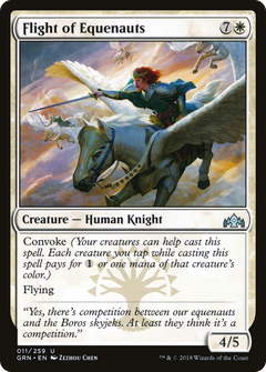 Flight of Equenauts - Foil