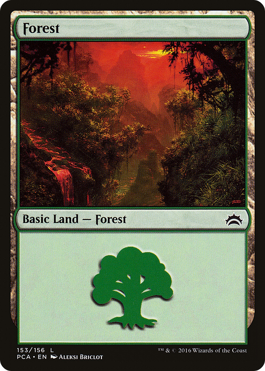 Forest (153)