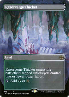 Razorverge Thicket (373) (Borderless)