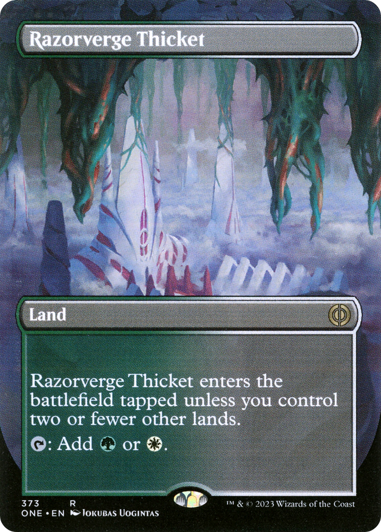 Razorverge Thicket (373) (Borderless) - Foil