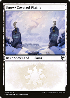 Snow-Covered Plains (276)