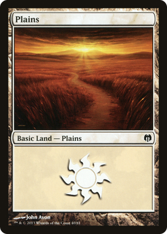 Plains (40)