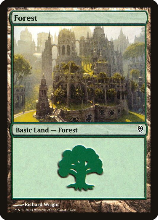 Forest (87)