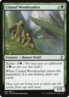 Citanul Woodreaders - Foil