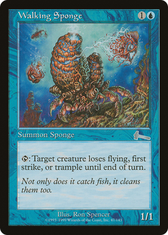 Walking Sponge - Foil