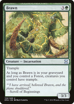 Brawn - Foil