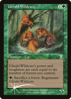 Uktabi Wildcats - Foil