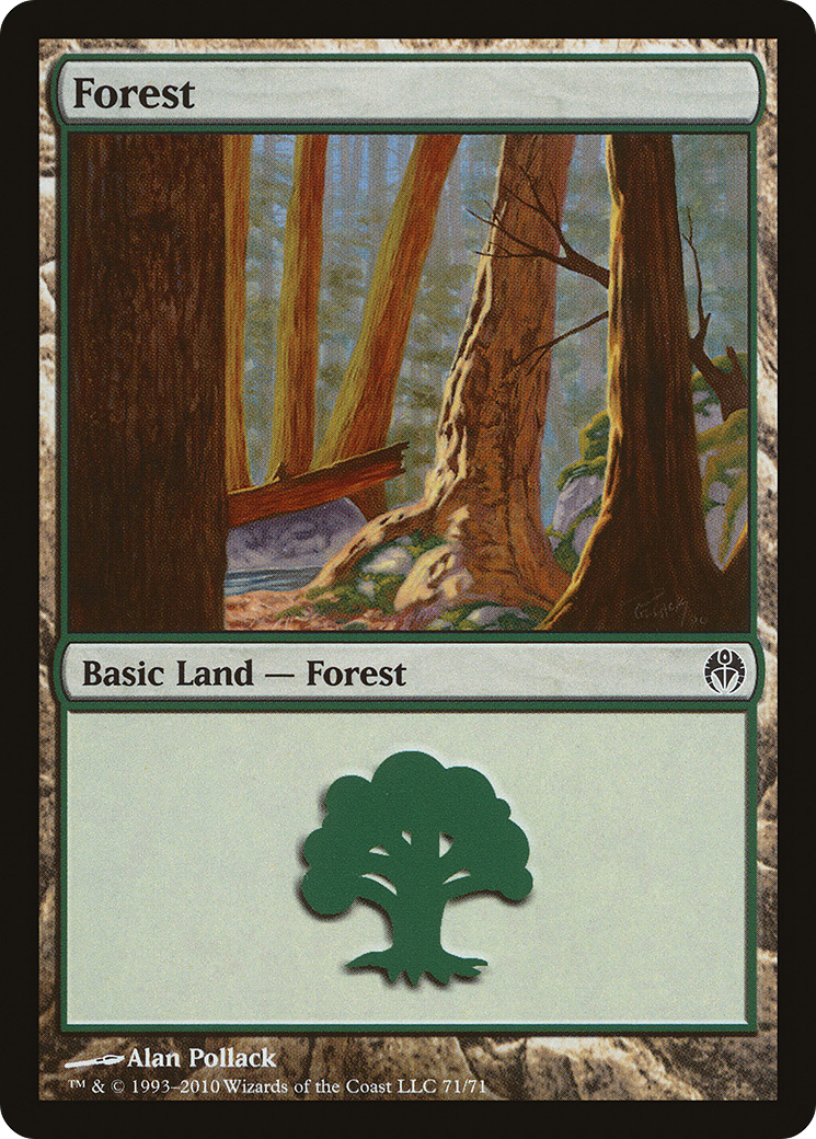 Forest (71)