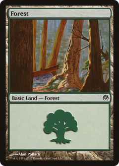Forest (71)