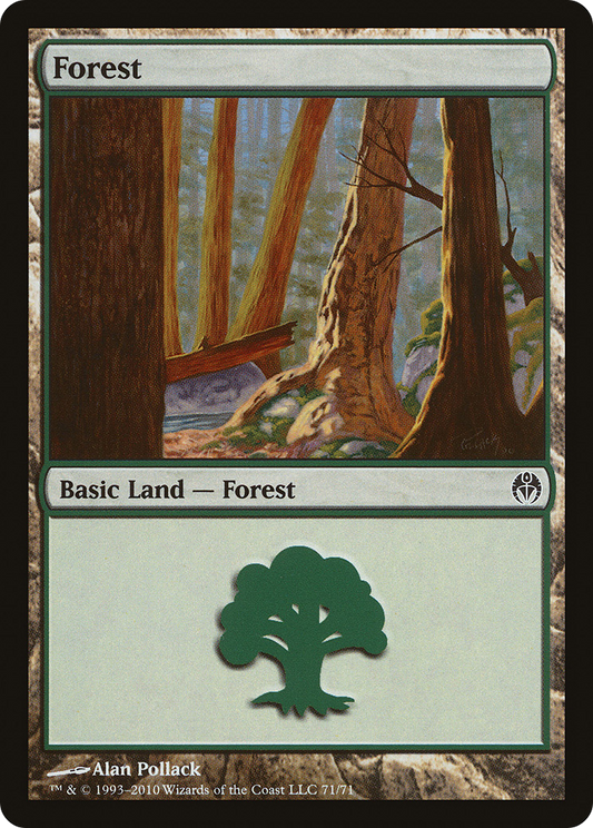 Forest (71)
