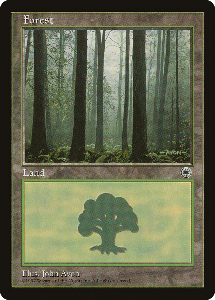 Forest (Three Trees in Foreground)