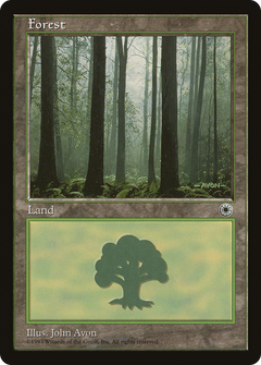 Forest (Three Trees in Foreground)
