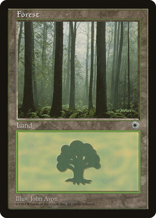 Forest (Three Trees in Foreground)