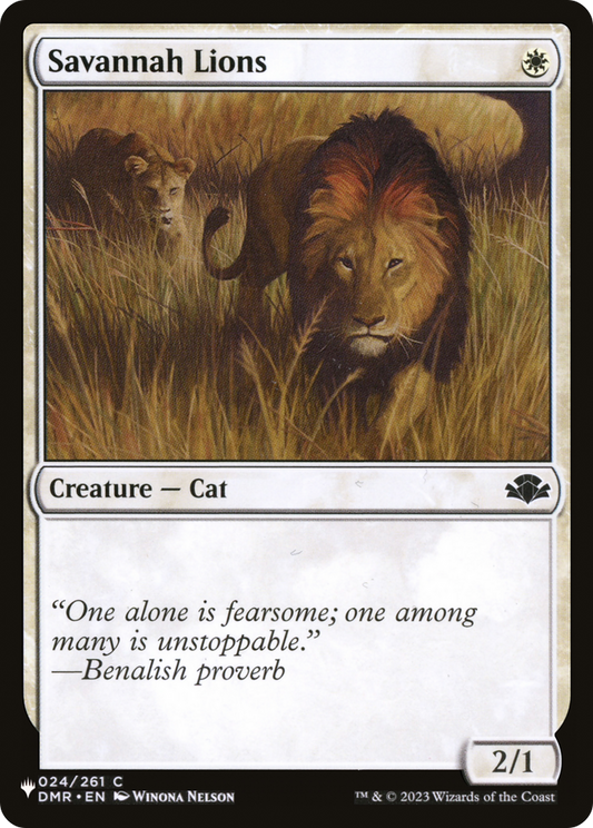 Savannah Lions (024)