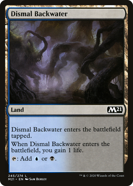 Dismal Backwater - Foil