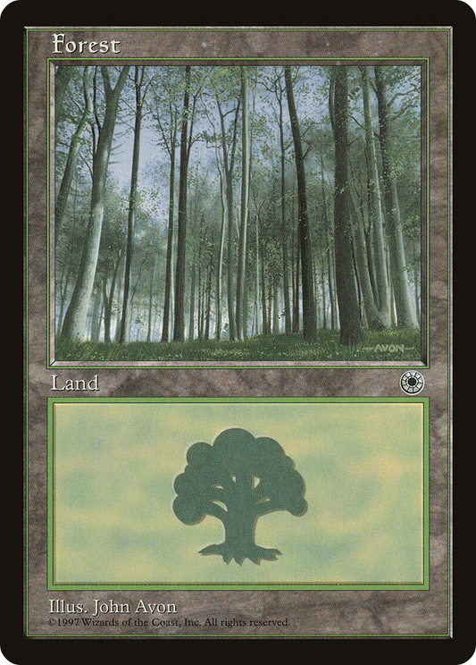Forest (Birch Trees)