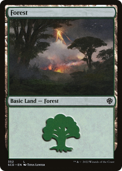 Forest (352)