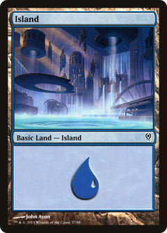 Island (37)