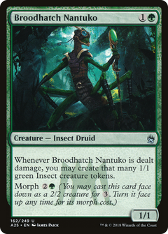 Broodhatch Nantuko - Foil