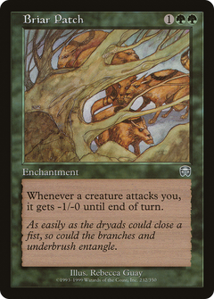 Briar Patch - Foil