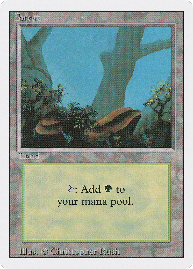 Forest (Rocks)