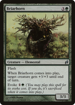 Briarhorn - Foil