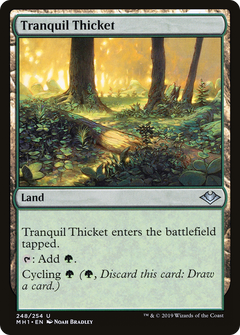 Tranquil Thicket - Foil