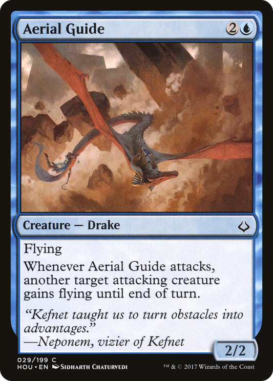 Aerial Guide - Foil
