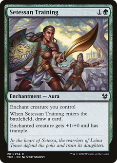 Setessan Training - Foil