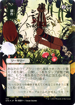 Cultivate (114) (Japanese) (Alternate Art) - Foil Etched