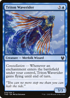 Triton Waverider - Foil