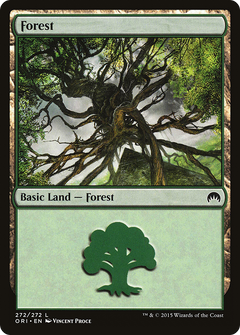 Forest (272)